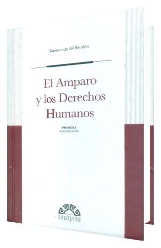 El Amparo y los Derechos Humanos El Amparo y los Derechos Humanos